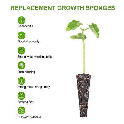 Éponges de Germination Hydroponique – Bouchons de Croissance Racinaire (50 pcs) Vert Un Jardin