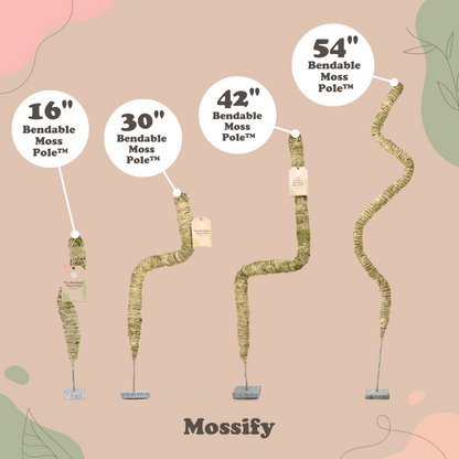 The Original Bendable Moss Pole™ - Best Seller (Pins Included) Mossify