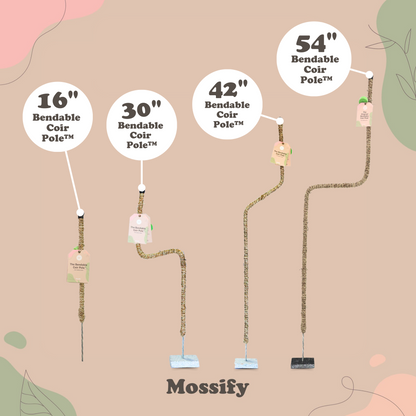 The Original Bendable Coir Pole™ - Best Seller (Tape Included) Mossify