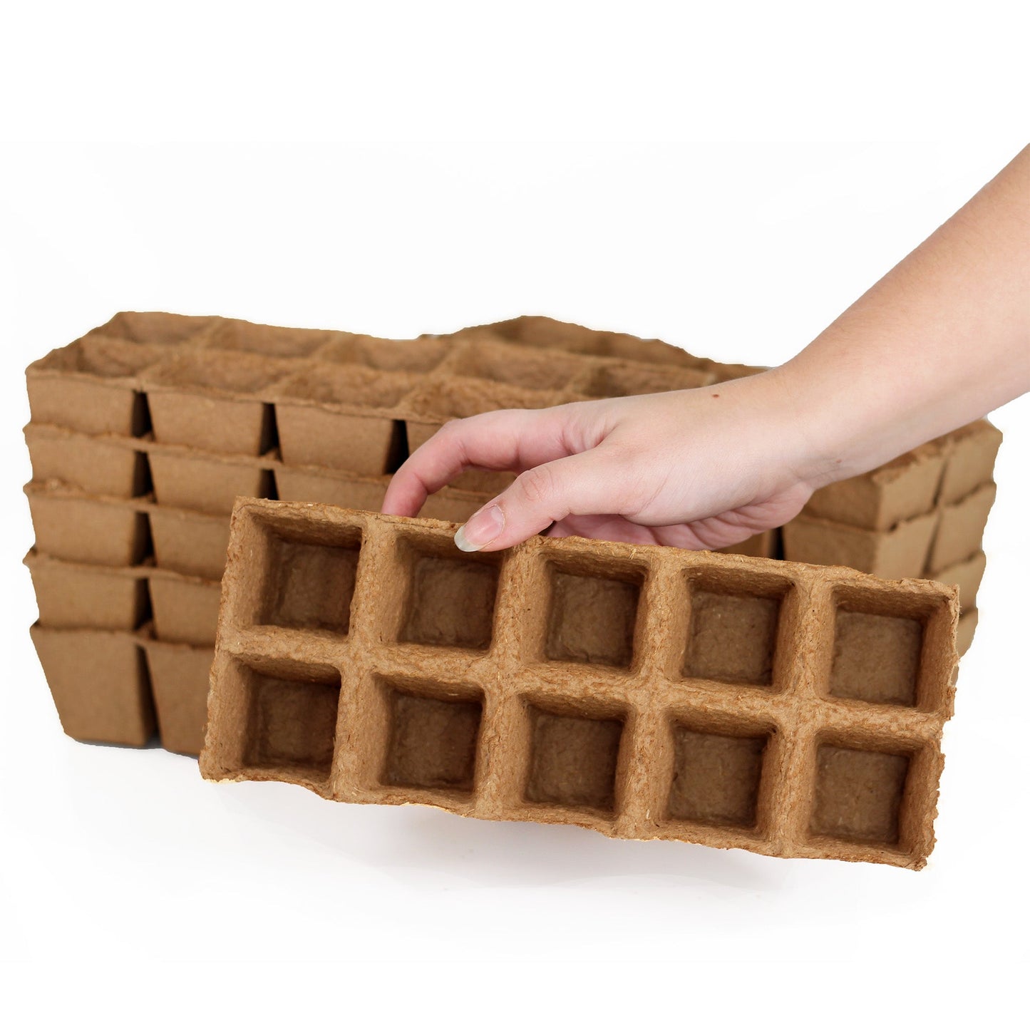 2" Naked Pots | Plantable Seed Starter Trays - Organic & Biodegradable (100 cells) Daniel's Plants