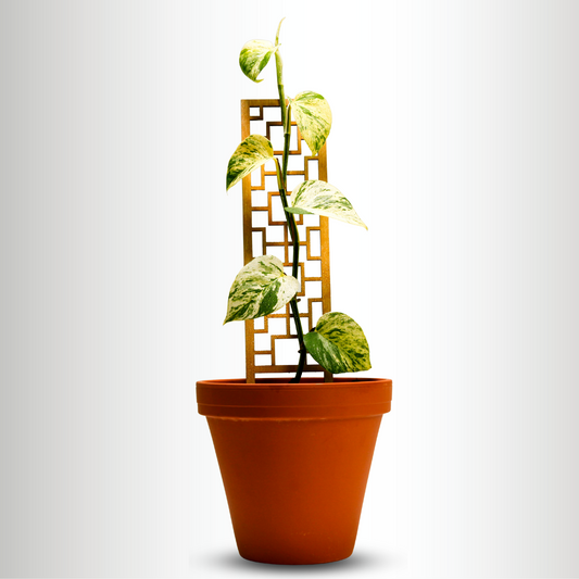 Tropical Squares Wooden Trellis Mossify
