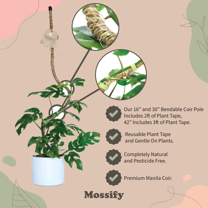 The Original Bendable Coir Pole™ - Best Seller (Tape Included) Mossify