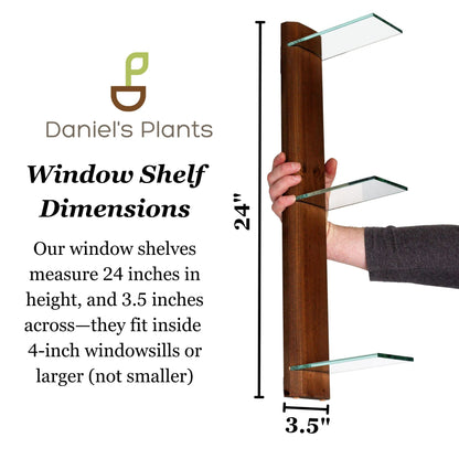 Renter-Friendly Window Shelf | Woodland Brown with Tempered Glass Daniel's Plants