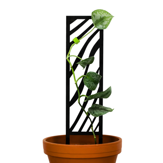 Zebra Wooden Trellis Mossify