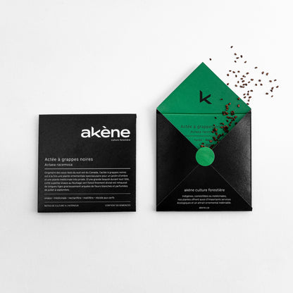 Semences - Actée à grappes noires Akène, culture forestière