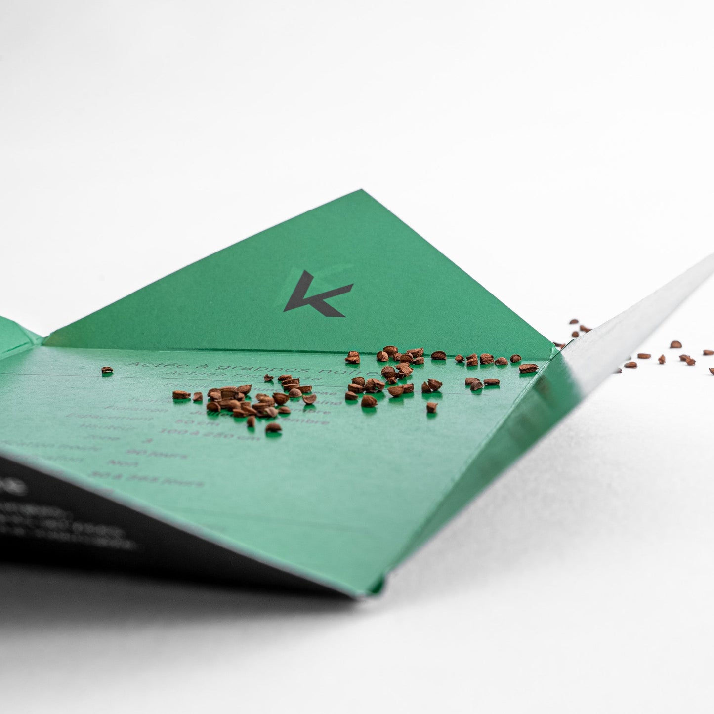 Semences - Actée à grappes noires Akène, culture forestière