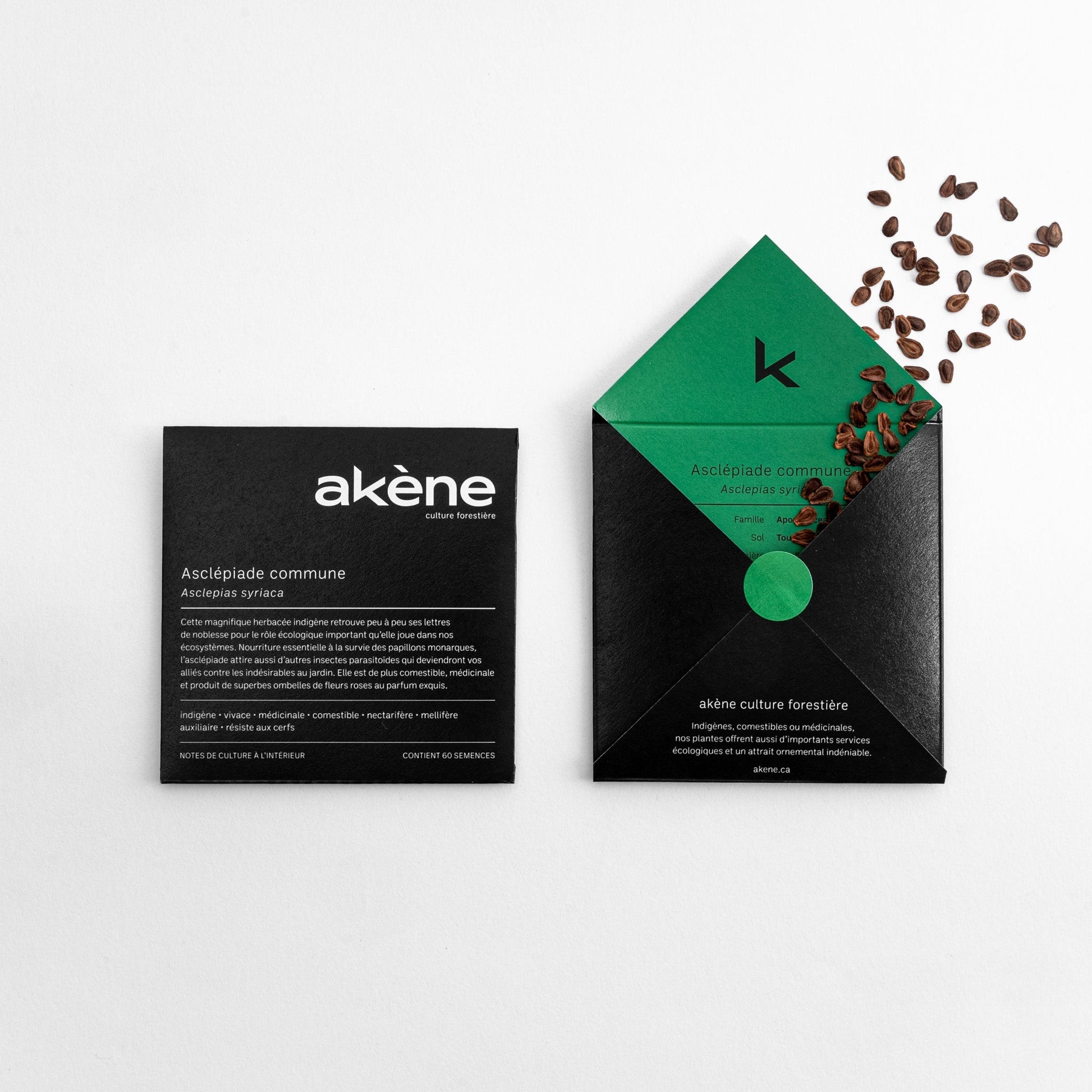 Semences - Asclépiade commune Akène, culture forestière