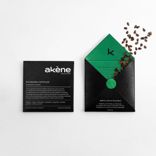 Semences - Asclépiade commune Akène, culture forestière