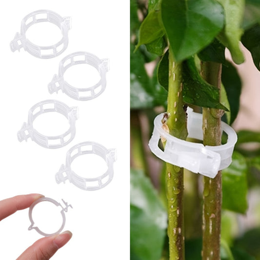 attache en plastique pour plantes