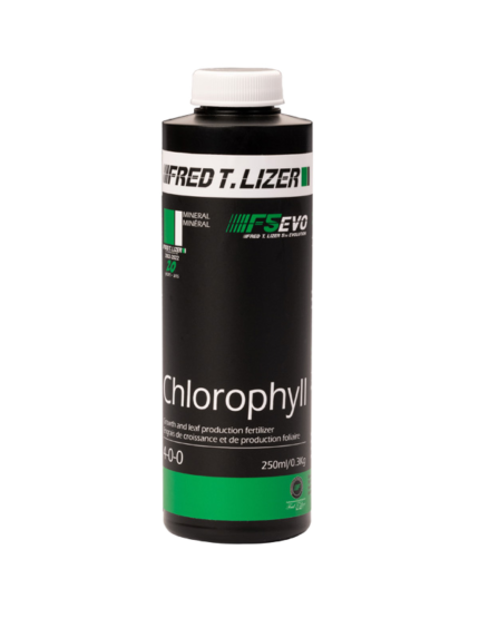 Chlorophyll