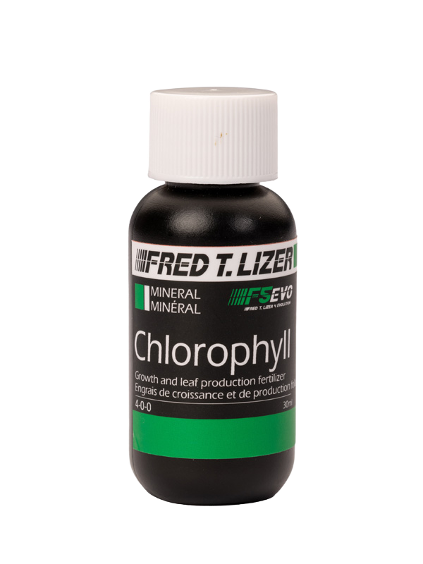chlorophyll-30ml Fred T Lizer