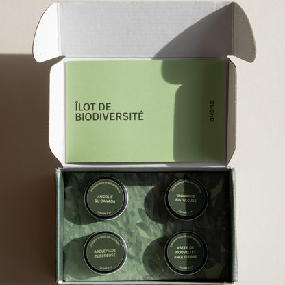 Coffret de semences - Îlot de biodiversité Akène, culture forestière