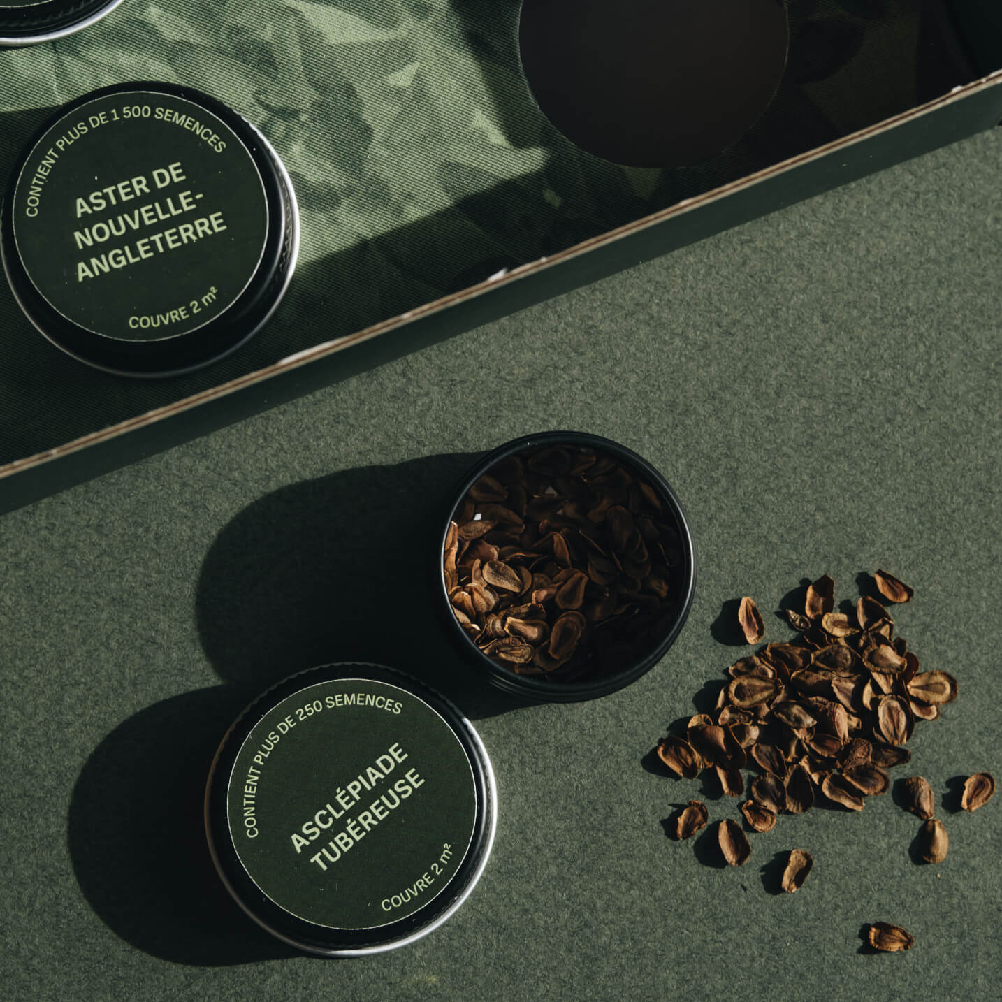 Coffret de semences - Îlot de biodiversité Akène, culture forestière