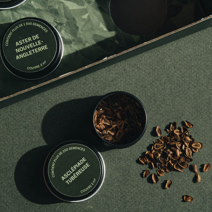 Coffret de semences - Îlot de biodiversité Akène, culture forestière