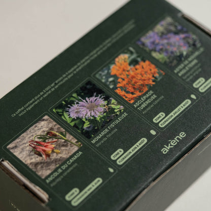 Coffret de semences - Îlot de biodiversité Akène, culture forestière