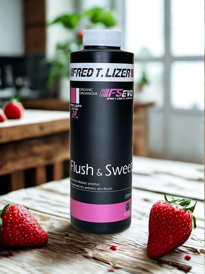 Fred T. Lizer™ - Flush & Sweet (ECH) Fred T Lizer