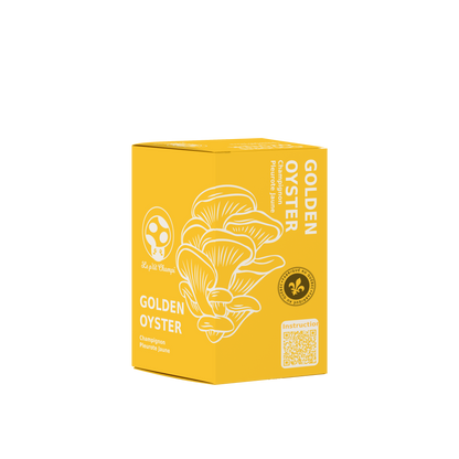 Golden Oyster Mushroom Kit Le Petit Champi