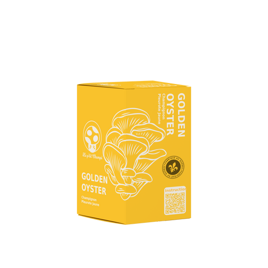 Golden Oyster Mushroom Kit Le Petit Champi