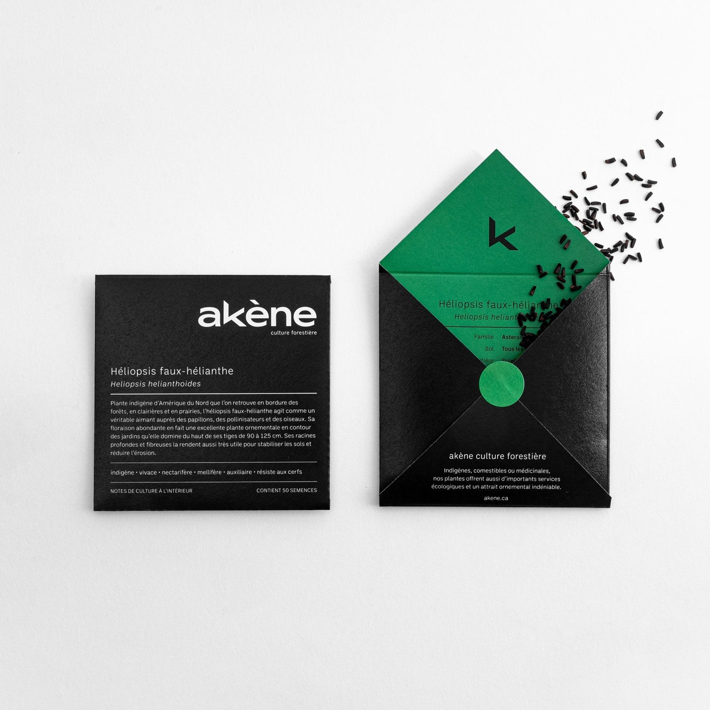 Semences - Héliopsis faux-hélianthe Akène, culture forestière