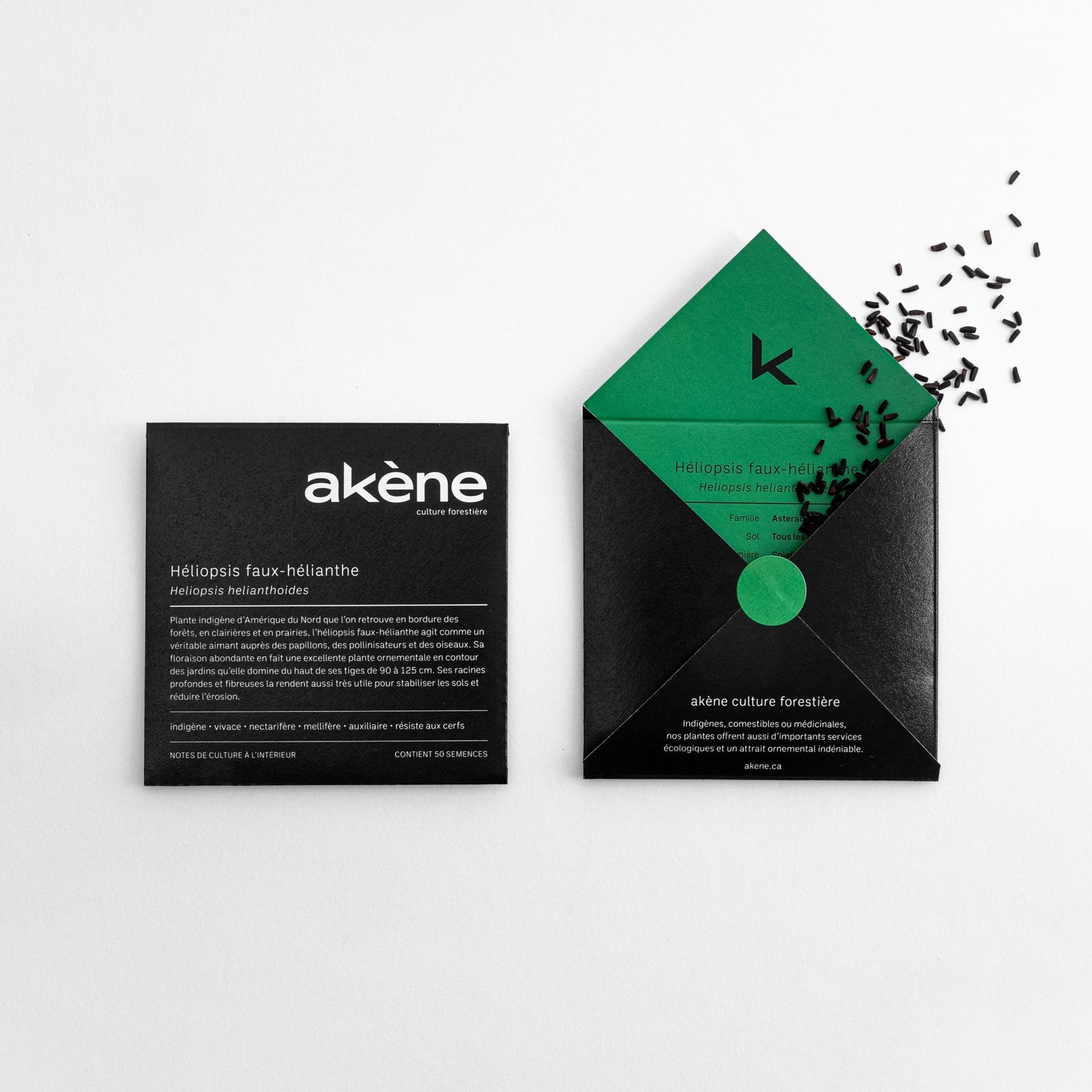 Semences - Héliopsis faux-hélianthe Akène, culture forestière