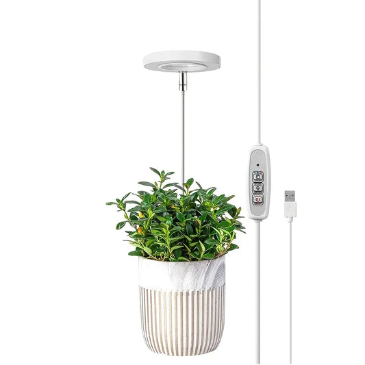 lampe avec controle electronique