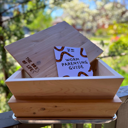 Mini Worm Studio The Box Of Life