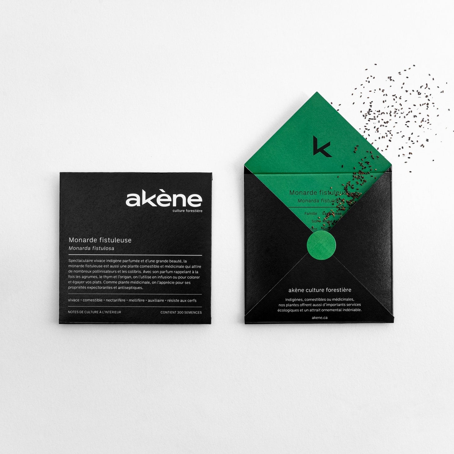 Semences - Monarde fistuleuse Akène, culture forestière