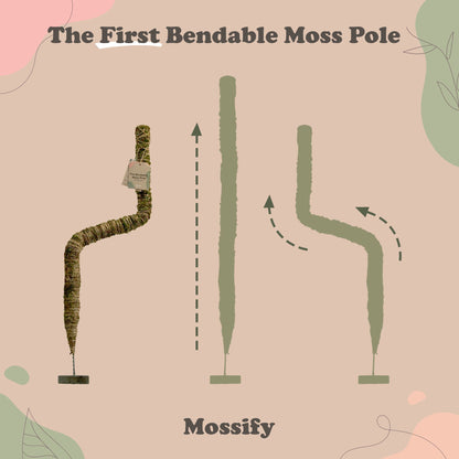 The Original Bendable Moss Pole™ - Best Seller (Pins Included) Mossify