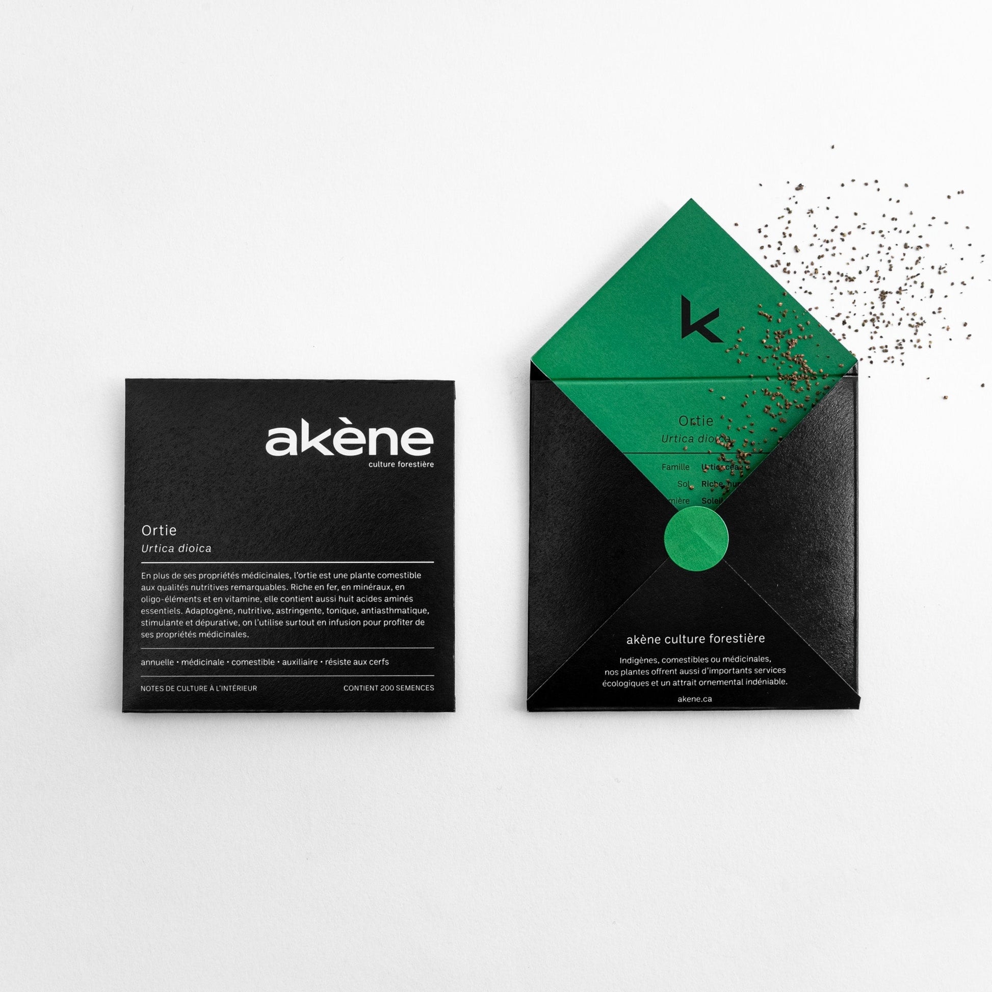Semences - Ortie Akène, culture forestière