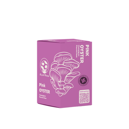 Pink Oyster Mushroom Kit Le Petit Champi