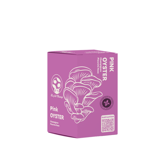Pink Oyster Mushroom Kit Le Petit Champi