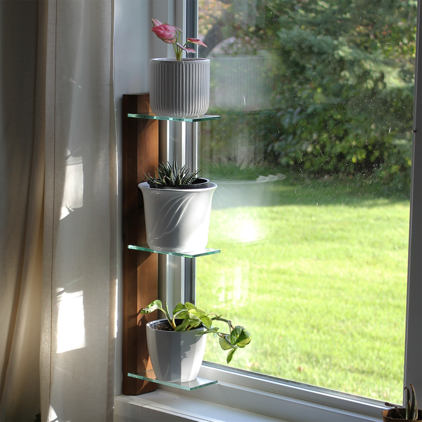 Renter-Friendly Window Shelf | Woodland Brown with Tempered Glass Daniel's Plants