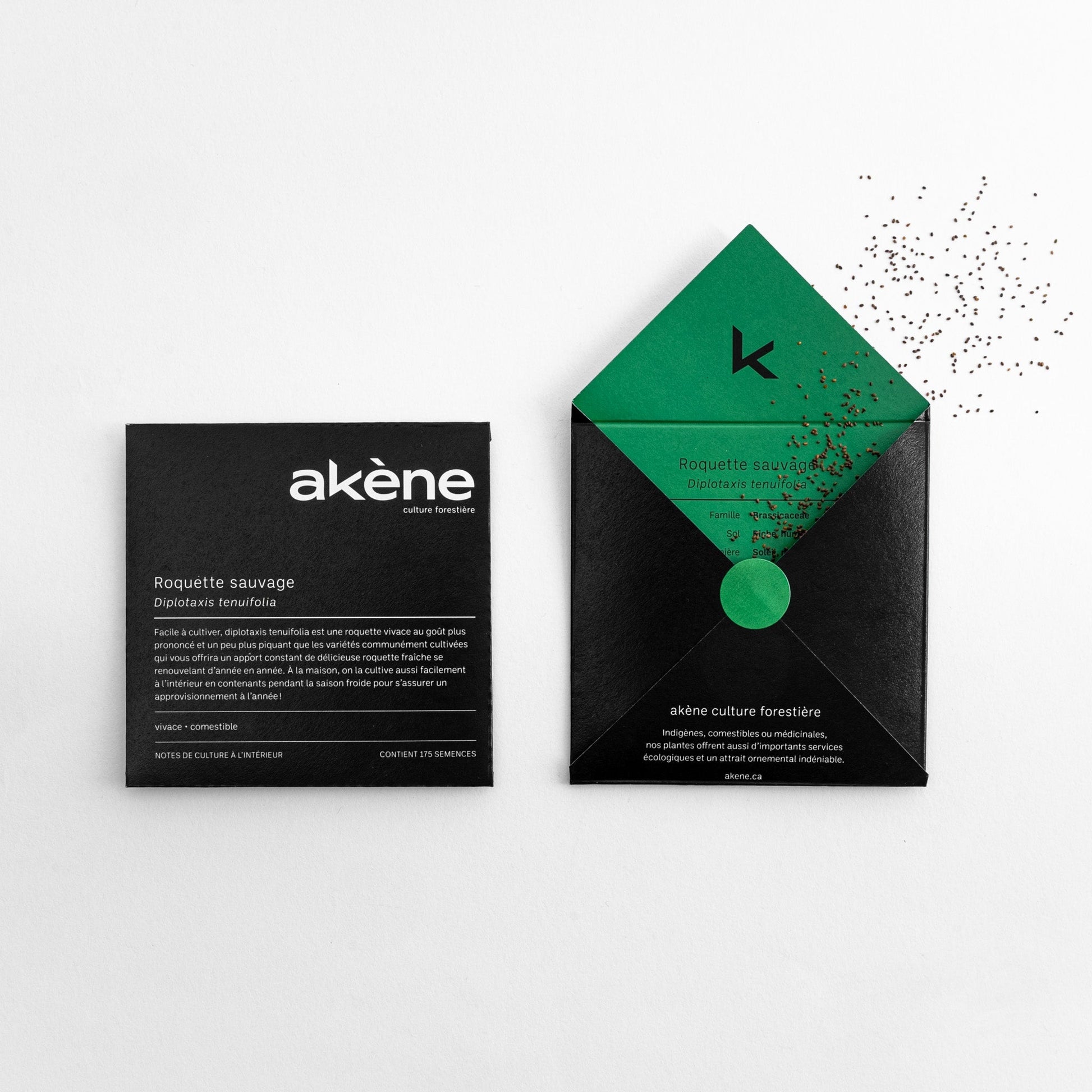 Semences - Roquette sauvage Akène, culture forestière