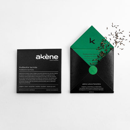 Semences - Rudbeckie laciniée Akène, culture forestière