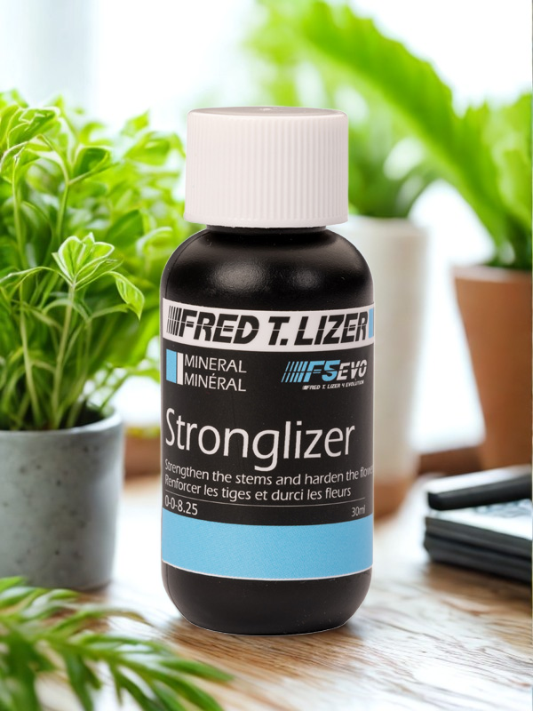 Fred T. Lizer™ - Stronglizer Fred T Lizer