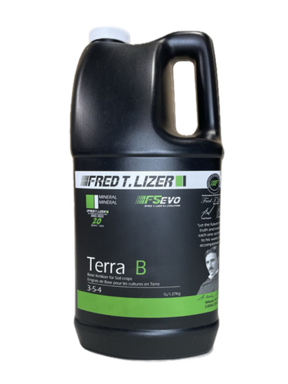 terra-b-4l-Fred T Lizer