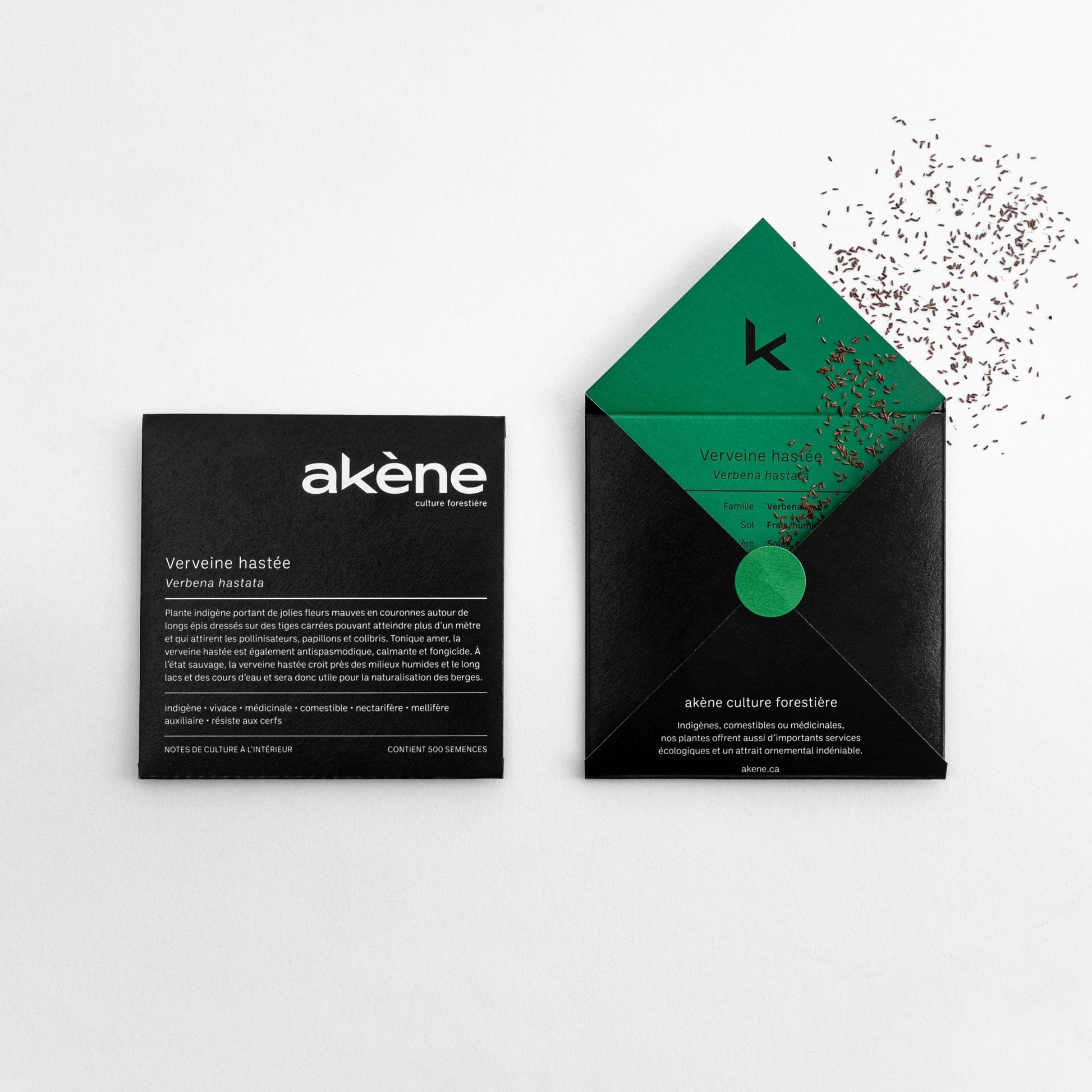 Semences - Verveine hastée Akène, culture forestière